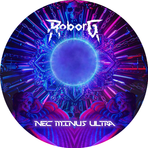 Roborg