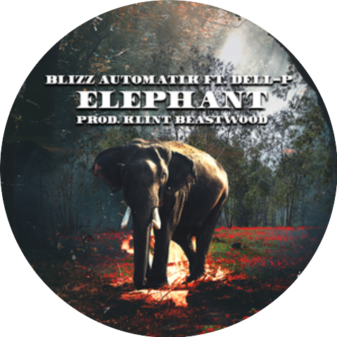 Blizz Automatik