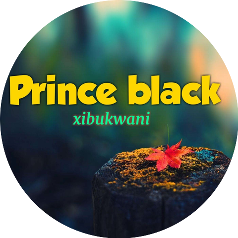 Prince Black