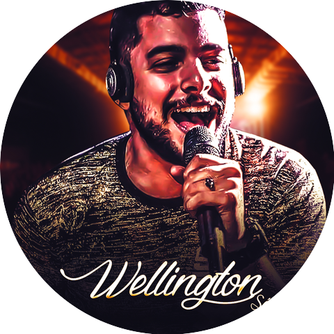 Wellington Sá