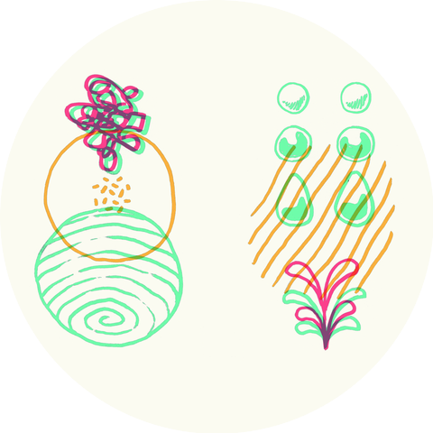 honeydiu