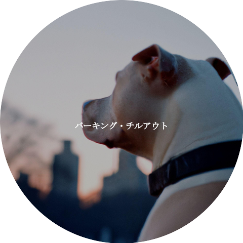 Jazz Playlist Cafe
