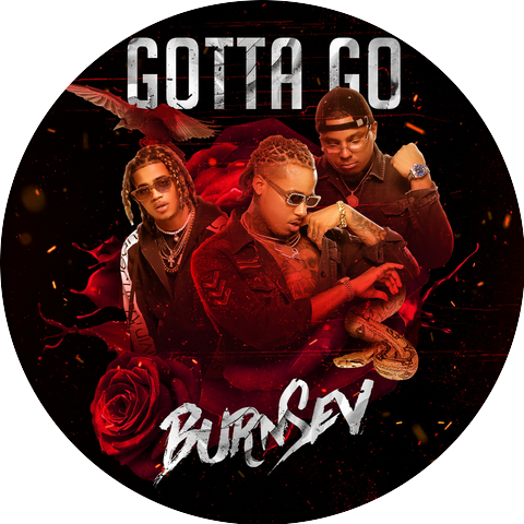 Burnsev