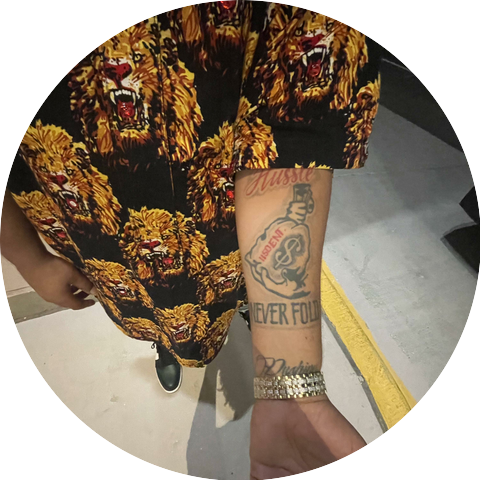 Bull P
