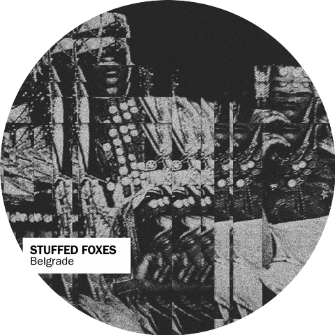 Stuffed Foxes