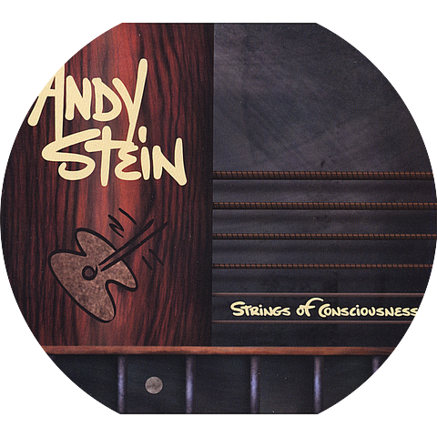 Andy Stein