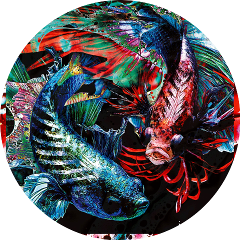 MEMAI SIREN