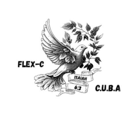 Flex-C