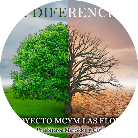 Proyecto Mcym Las Flores