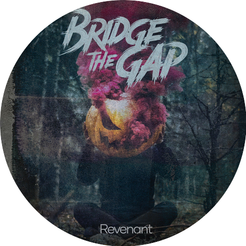 Bridge the Gap