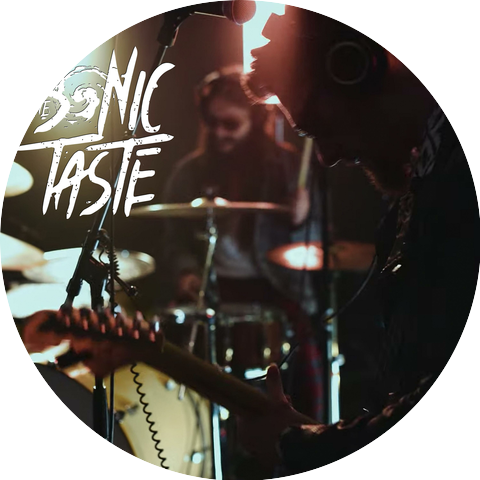 The Sonic Taste