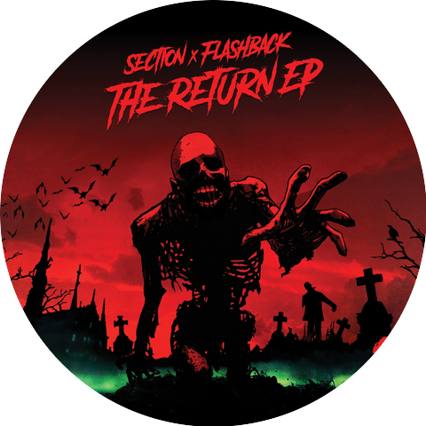 Section X Flashback
