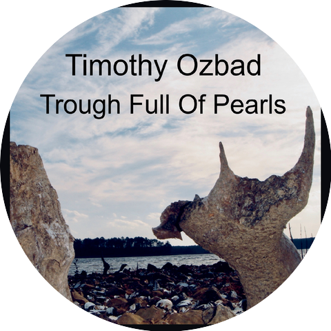 Timothy Ozbad