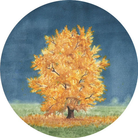 Bryan McAllister