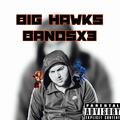 Big Hawks