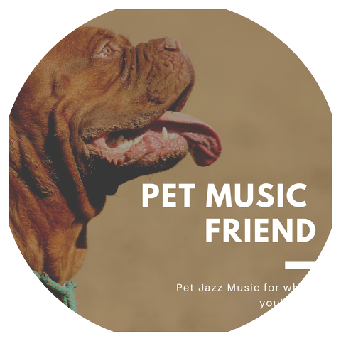 Pet Music Friend