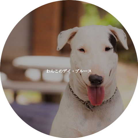 Afternoon Jazz Playlist