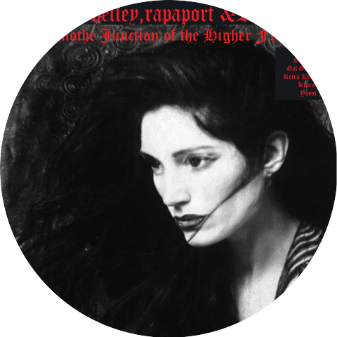 Avisar,shelley,rapaport &Romano