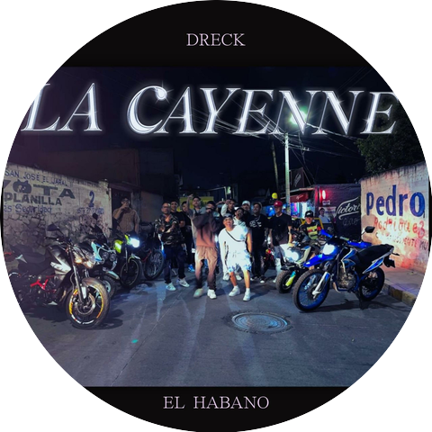 D-Reck