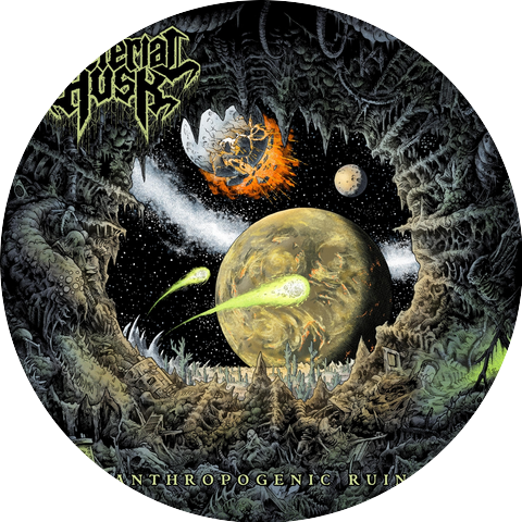 Bacterial Husk