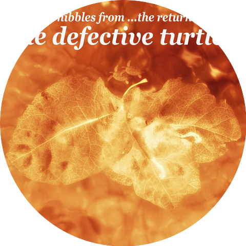 The Defective Turtles