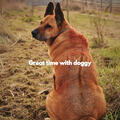 Calming Jazz For Dogs