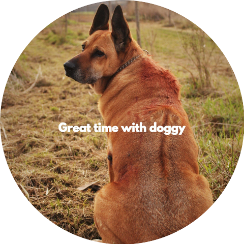 Calming Jazz For Dogs