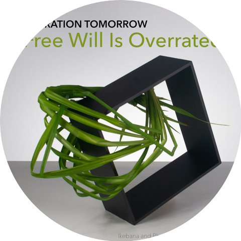 Operation Tomorrow