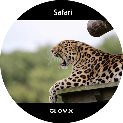 Clowx