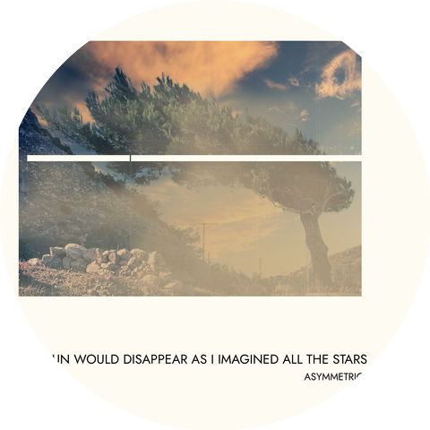 Asymmetric Universe