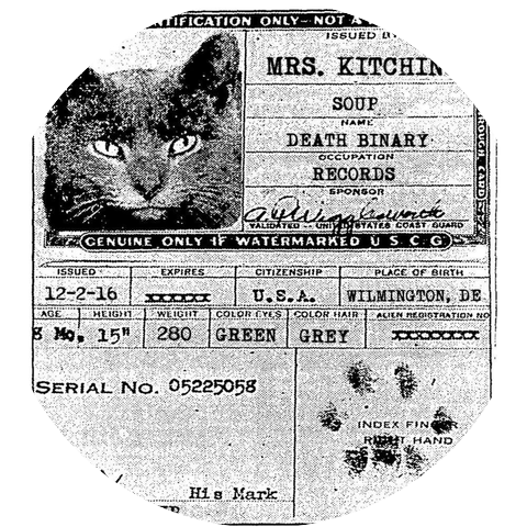 Mrs. Kitching