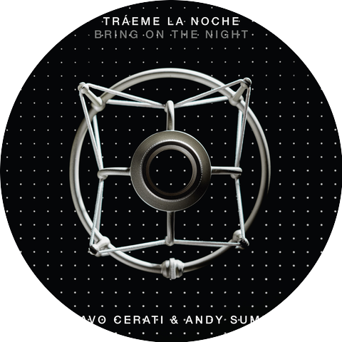 Gustavo Cerati & Andy Summers