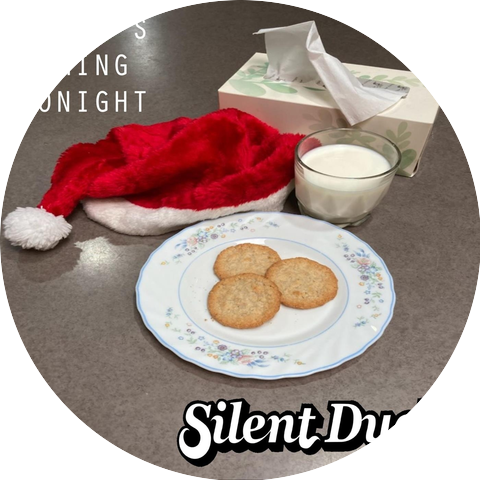 Silent Duck