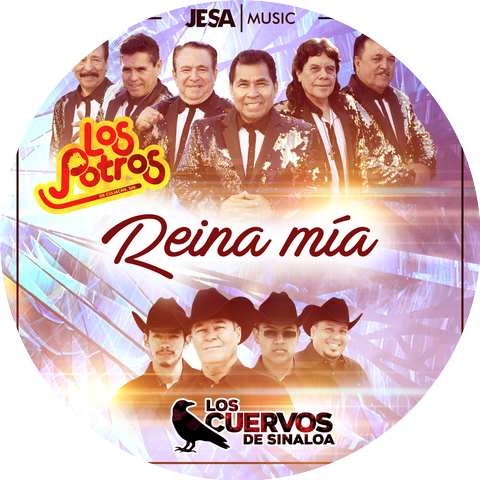 Los Cuervos de Sinaloa & Los Potros