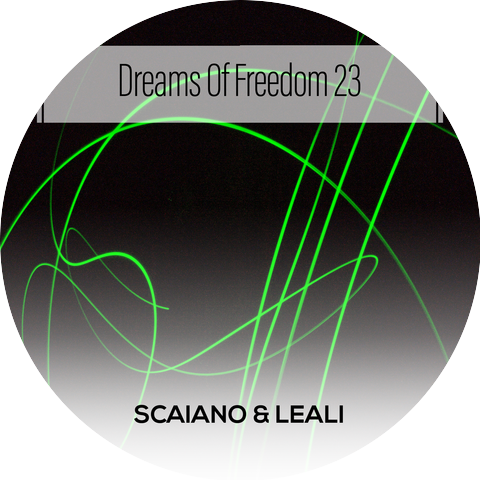 Scaiano & Leali