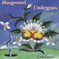 Blueground Undergrass
