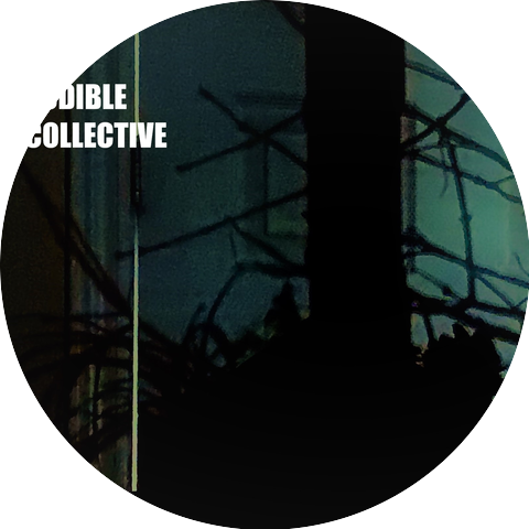 The Audible Collective