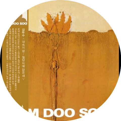 Kim Doo Soo