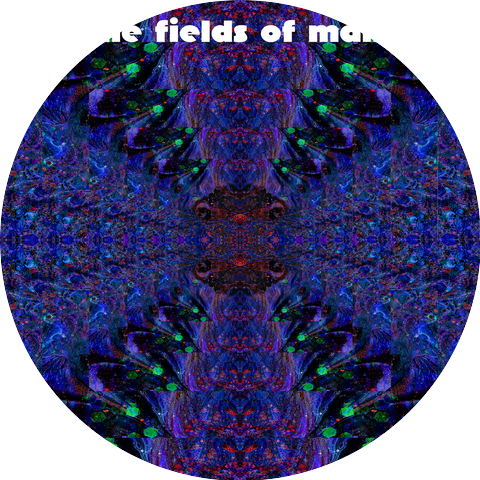 Jamey 2x4 and God-Mecha Gemini Anubis