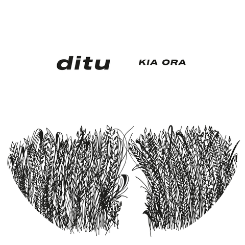 Ditu