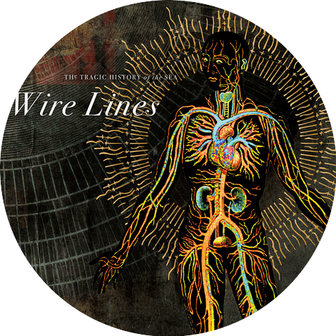 Wire Lines