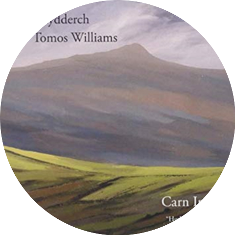 Llio Rhydderch