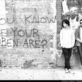 Mini Mansions & Alison Mosshart