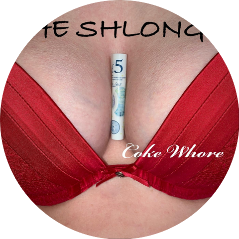 The Shlongs
