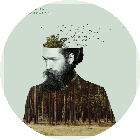 Stefan Andre