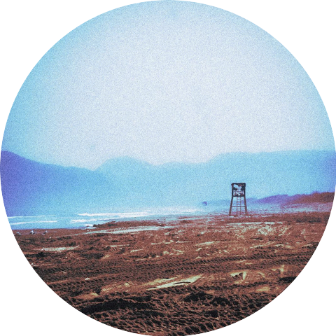 Murkish