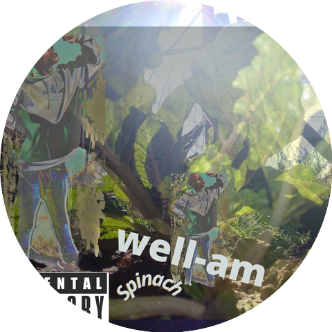 WellaM