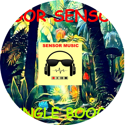 Igor Sensor
