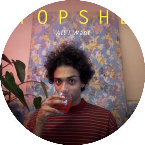 Topshe