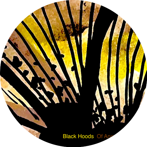 Black Hoods